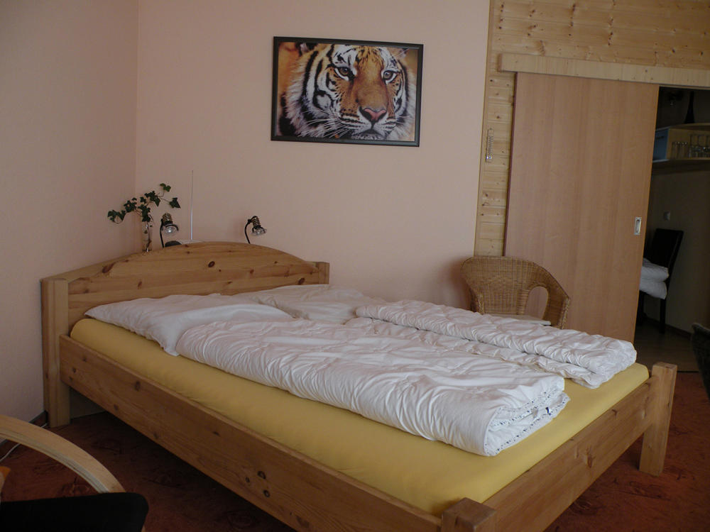Apartments Schramm Айзенах Номер фото